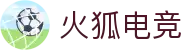 火狐电竞·(中国区)电子竞技平台